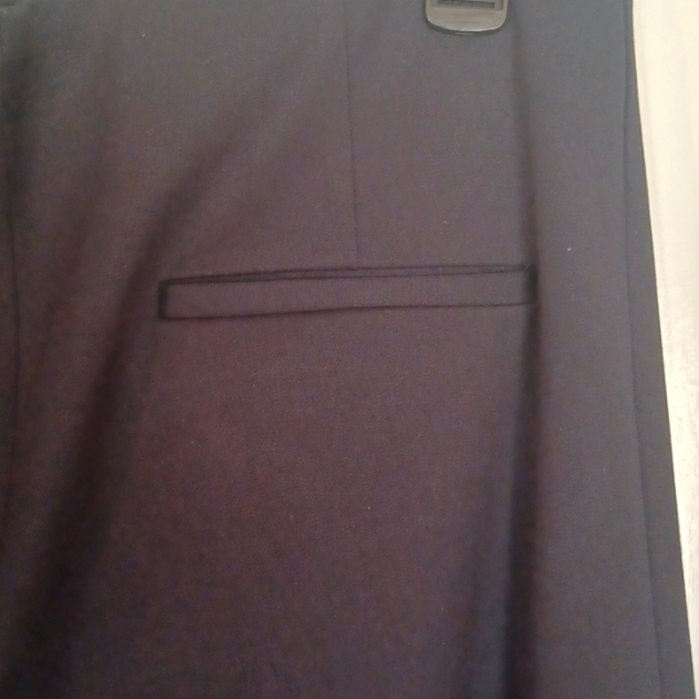 Brand New Navy Pant by ZARA